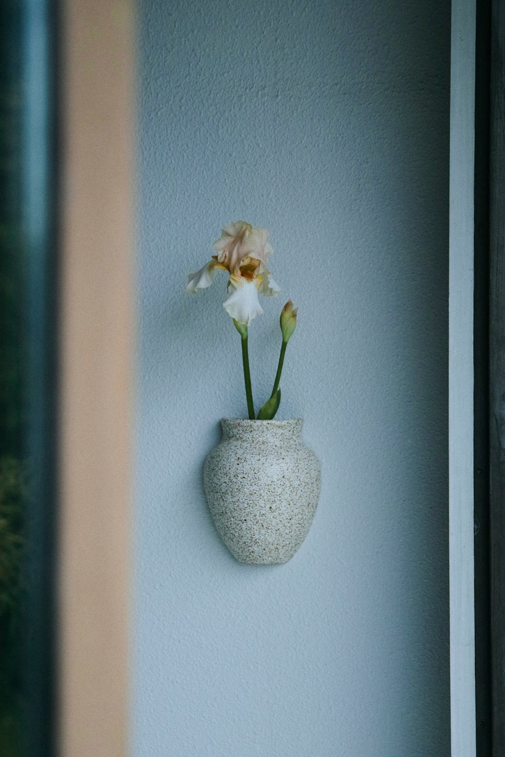 wall pot notashop 壁掛け　花瓶　フラワーベース　新品 WALL POT | NOTA_SHOP / WEB SHOP
